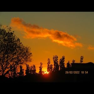 Meet your Posher, Marley